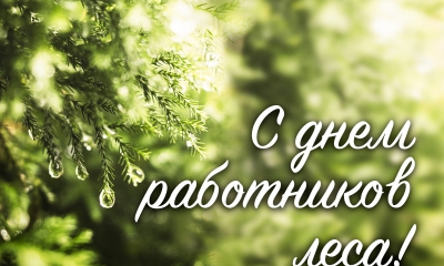17 сентября в России отмечается День работников леса и лесоперерабатывающей промышленности