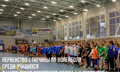 28 марта в ФОК "Арена": Первенство города Гатчины по волейболу памяти А.И. Перегудова