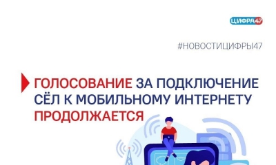 За подключение сёл к мобильному интернету проголосовали уже 2 060 ленинградцев