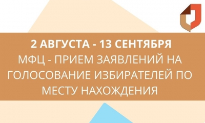 Со 2 августа по 13 сентября в МФЦ Ленинградской области можно открепиться для голосования 