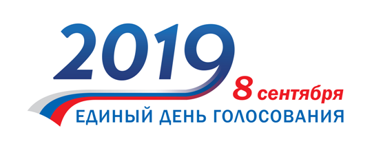 В Гатчинском районе 481 кандидат идет на муниципальные выборы