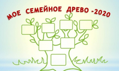 Подведены итоги творческого конкурса Общественной палаты Ленинградской области для школьников «Мое семейное древо-2020. Династия защитников»