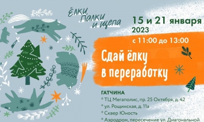 Акция "Ёлки, палки и щепа" по сбору новогодних ёлок в Гатчине!