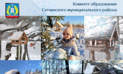 Всероссийская акция - Покормите птиц зимой