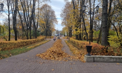 УБДХ: листья жёлтые над городом кружатся...