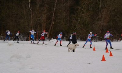 Приглашаем учащихся Гатчинского района на соревнования по лыжным гонкам, посвященным Дню Защитника Отечества