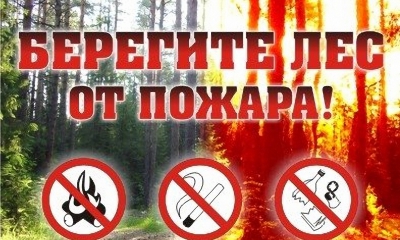 Обращение к гражданам о соблюдении правил пожарной безопасности в лесах