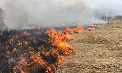 Предотвратили переход пламени горящей сухой травы на жилые дома