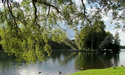 2 июля Гатчинский парк откроется для посещения!