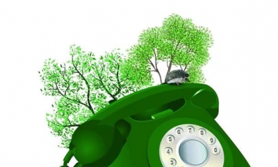 В Ленинградской области работает телефон "Зеленой линии"